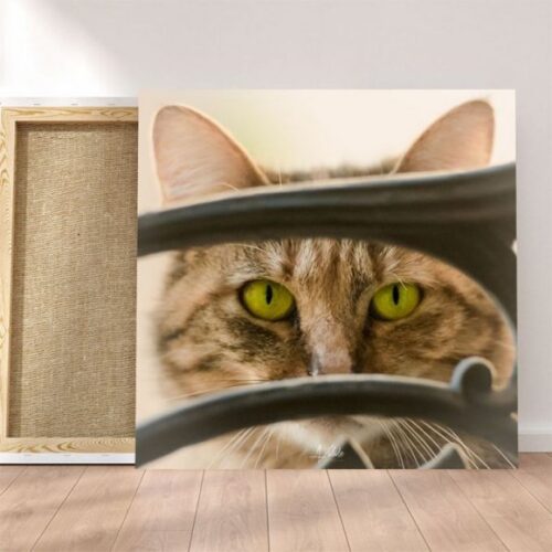 Visite du Chat au Balcon - Toile Murale – Image 2