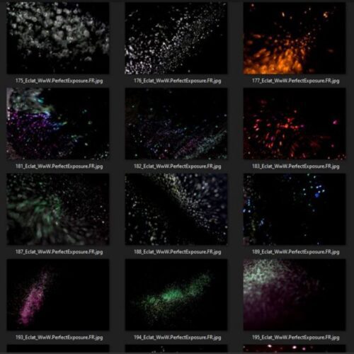 217 Overlays Eclat Photoshop Collection – Image 4
