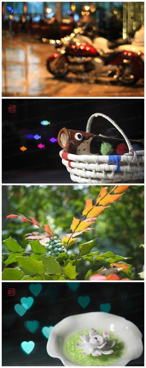 Kit de Filtre à Bokeh Artistique pour objectif 58mm – Image 5