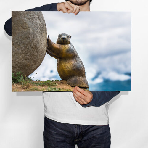 Marmotte roule sa Boule - Toile Murale – Image 2