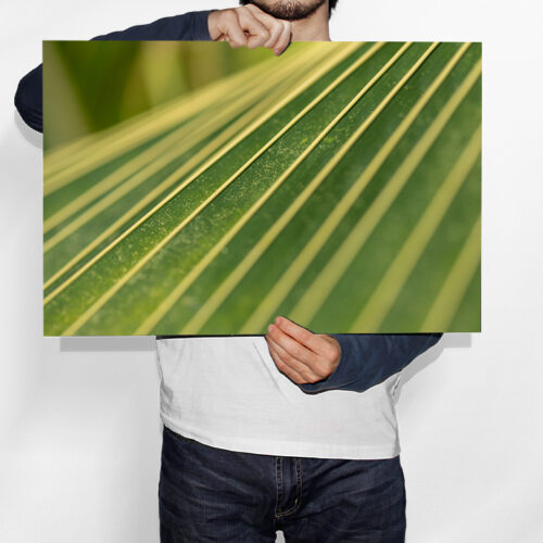 Légère Brise sur la Feuille du Palmier - Toile Murale – Image 2