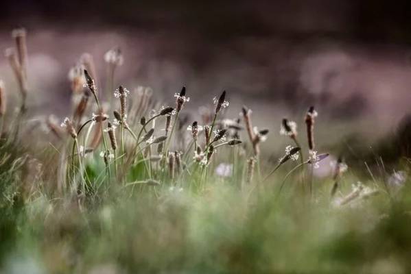 Qu’est-ce que la longueur focale et pourquoi est-elle importante en photographie ?