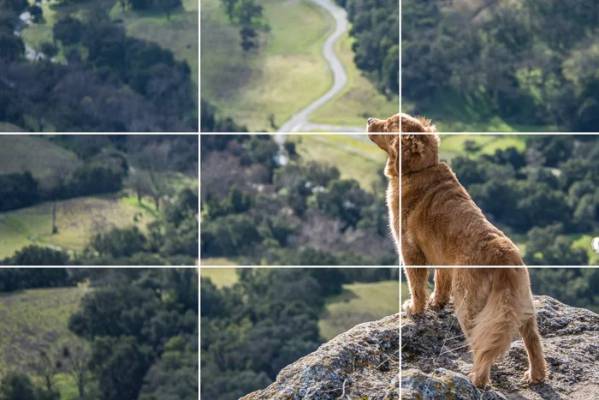 Qu’est-ce que la règle des tiers et comment l’utiliser en photographie ?